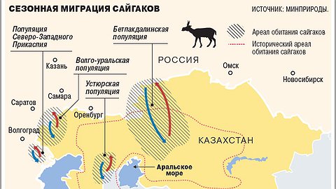 Минприроды бьет копытных